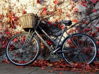 Jigsaw Puzzle «Velosiped»