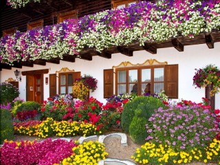 Slagalica «Veranda in bloom»