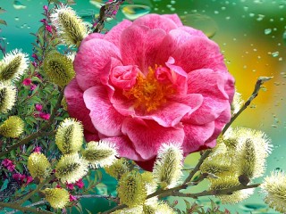 Quebra-cabeça «Willow and rose»