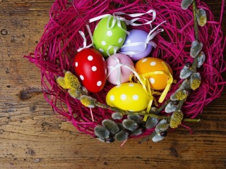 Jigsaw Puzzle «Willow and eggs»