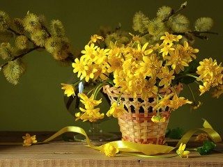 Quebra-cabeça «Spring flowers»