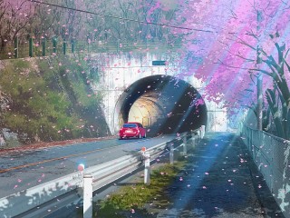 Zagadka «Spring tunnel»