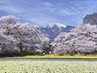 Пазл «Spring»