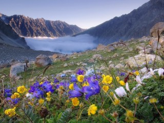 Jigsaw Puzzle «Spring in the mountains 1»