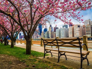 Пазл «Весна в Нью-Йорке»