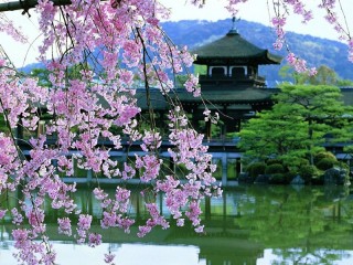 Пазл «Spring in Beijing»