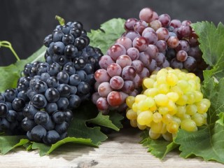 Slagalica «Grapes»
