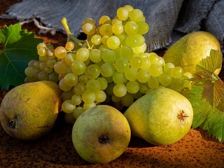 パズル «Grapes and pears»
