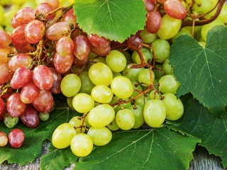 Rätsel «Grapes and leaves»
