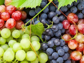 Jigsaw Puzzle «Grape assorted»
