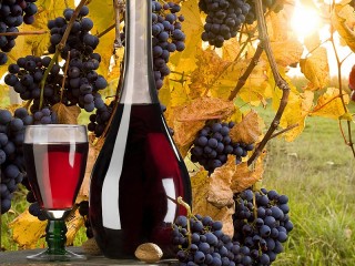 Пазл «Виноградное вино»