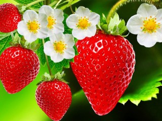Jigsaw Puzzle «Delicious berry»