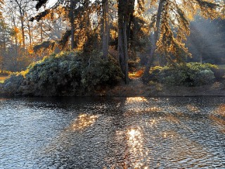 Zagadka «Water»