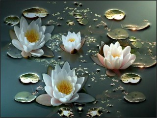パズル «water lilies»