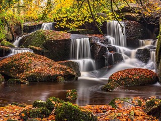 Puzzle «Waterfall»