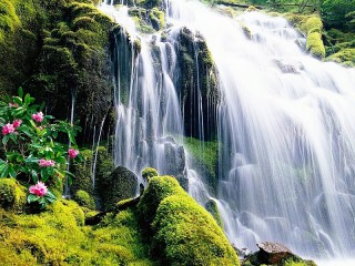 Пазл «Водопад и цветы»