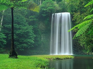Пазл «Водопад в лесу»