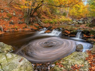 Puzzle «whirlpool»