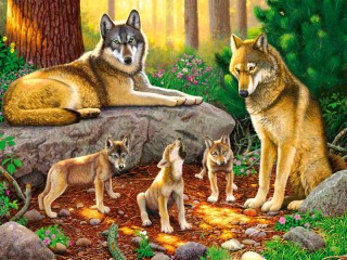 Пазл «Волчье семейство»
