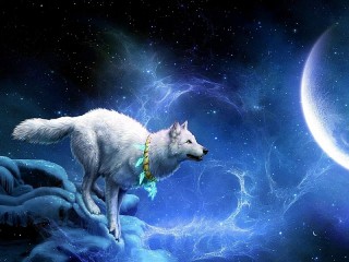 Пазл «Волк»