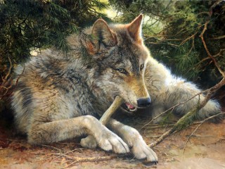 Puzzle «Wolf»