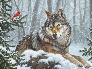 Jigsaw Puzzle «The wolf and the cardinal»