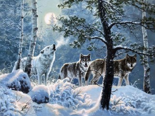 Jigsaw Puzzle «Wolves in winter»