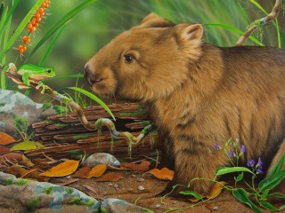 Jigsaw Puzzle «wombat and frog»