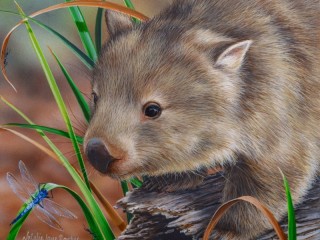 Jigsaw Puzzle «Wombat and dragonfly»
