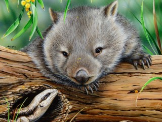 Jigsaw Puzzle «Wombat and lizard»