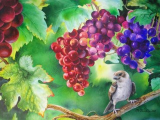 Jigsaw Puzzle «sparrow and grapes»