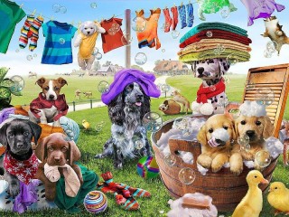 Jigsaw Puzzle «Such a laundry»