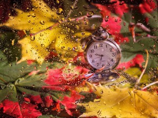 Bulmaca «Autumn time»