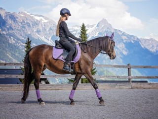 Jigsaw Puzzle «Horsewoman and mountains»
