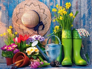 Jigsaw Puzzle «Everything for the garden»