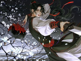 Puzzle «Wei wuxian»