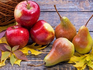 Jigsaw Puzzle «Apples and pears»