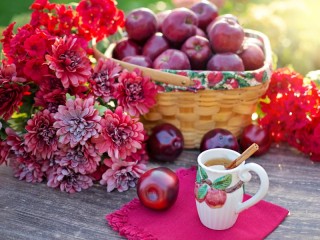Jigsaw Puzzle «Apples and chrysanthemums»