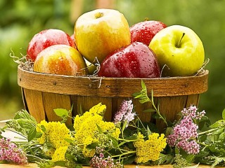 Quebra-cabeça «Apples and flowers»