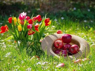 Пазл «Яблоки и тюльпаны»