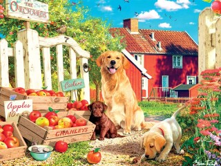 Jigsaw Puzzle «Apples from the garden»