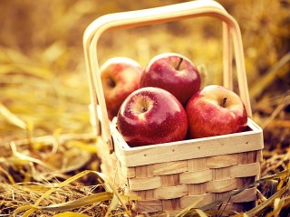 Quebra-cabeça «The apples in the basket»