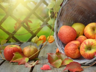 Jigsaw Puzzle «Apples in a basket»