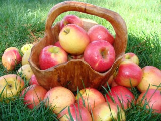 Jigsaw Puzzle «Apples in basket»
