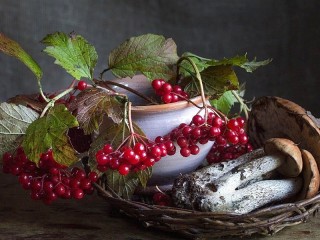 Jigsaw Puzzle «Berries and mushrooms»