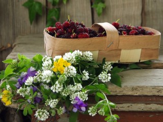 Jigsaw Puzzle «Berries and flowers»