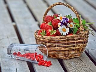 Zagadka «Berries and flowers»