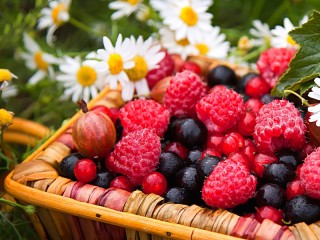 Rompecabezas «Berries in a basket»