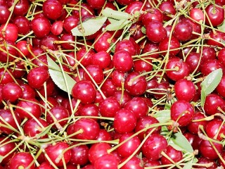 Пазл «Berries»