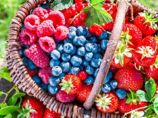Puzzle «Berry platter»